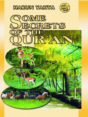 cover image of Some Secrets of the Qur'an
